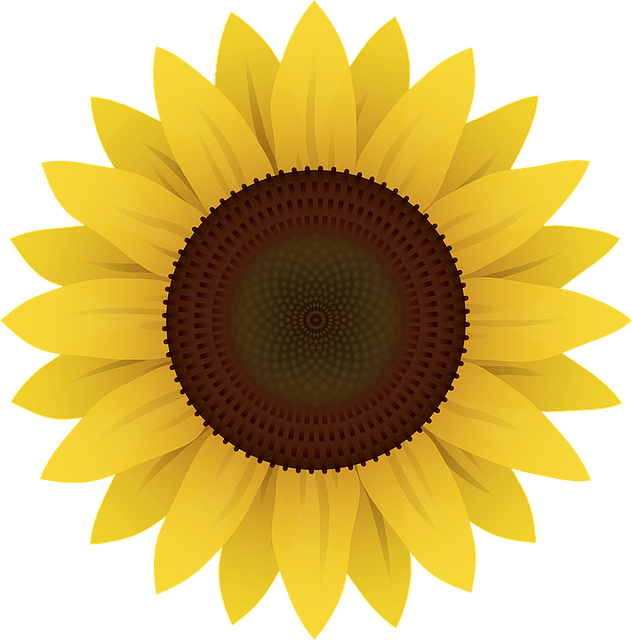 Sunflower Thrift
